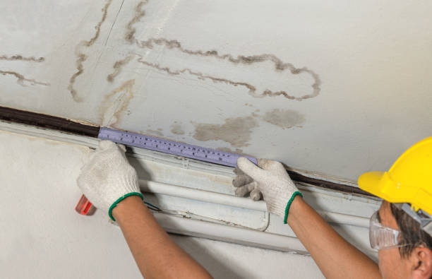 Reliable Burst Pipe Cleanup contractor in Bristow, VA by Water Damage Irwin